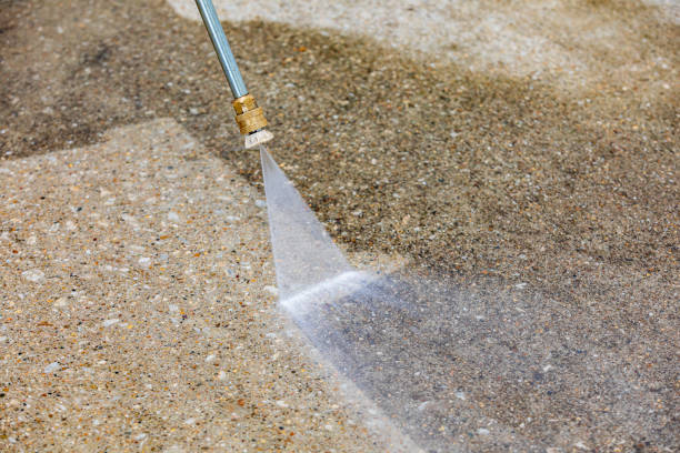 Best Building Exterior Washing  in Brandon, FL