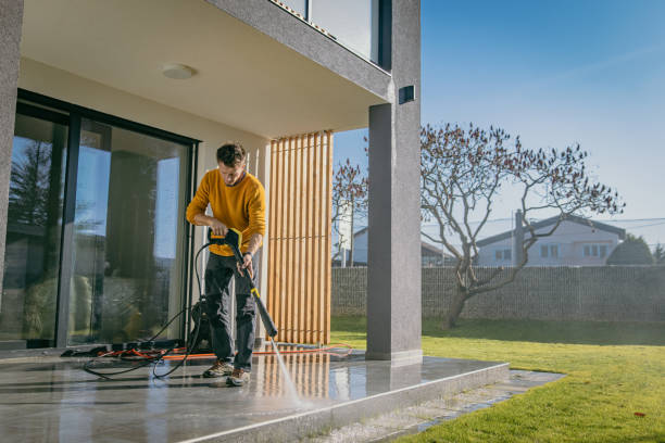 Best Dumpster Area Cleaning  in Brandon, FL