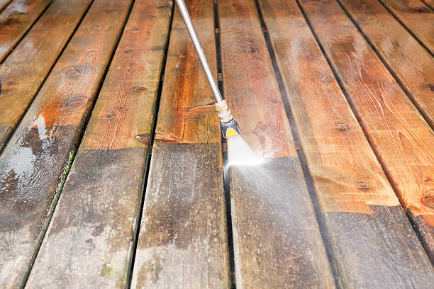 Best Gutter Cleaning  in Brandon, FL